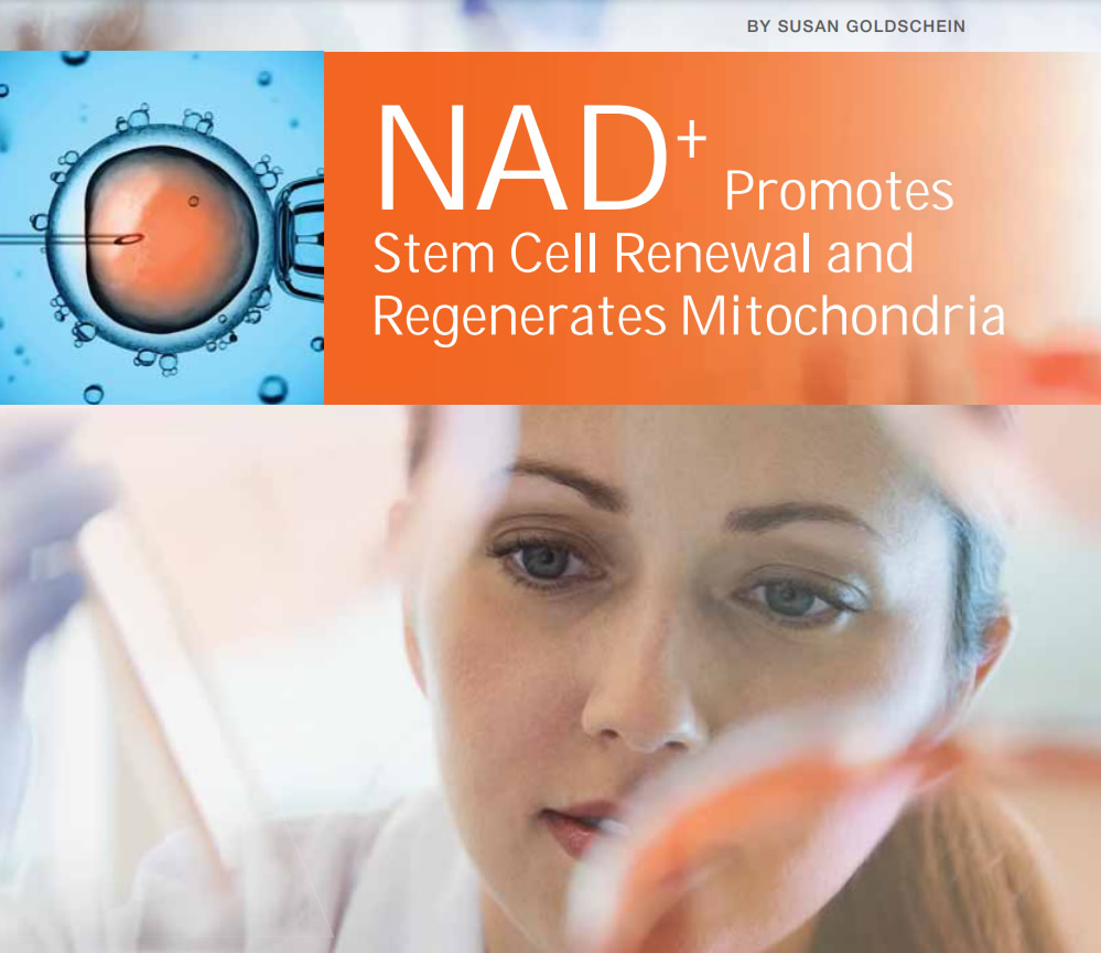 NAD+ Promotes Stem Cell Renewal and Regenerates Mitochondria